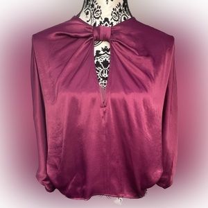 NWT ZARA Satin Top Medium